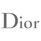 The Walt Disney Company